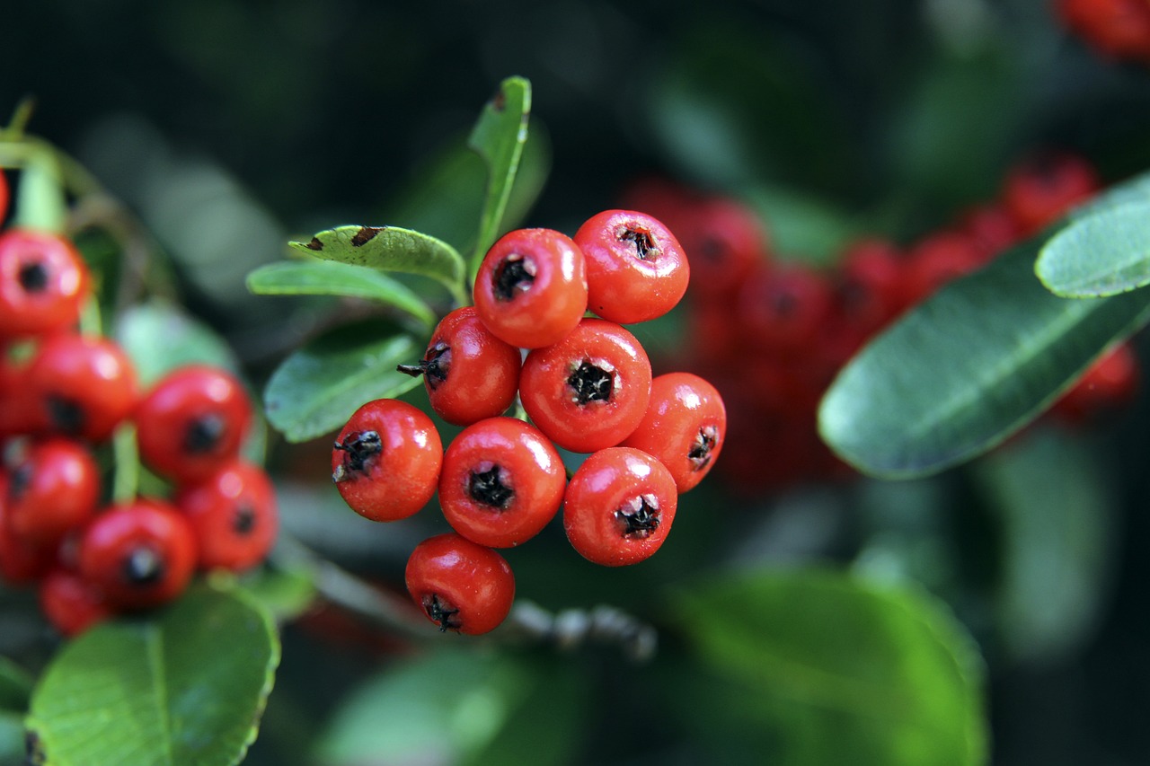 创造了有力 创造了有力